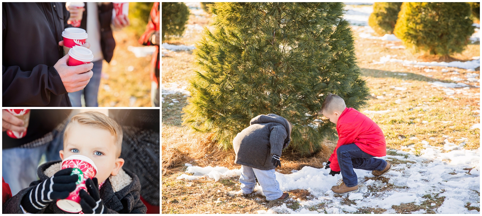 omaha wedding photographer