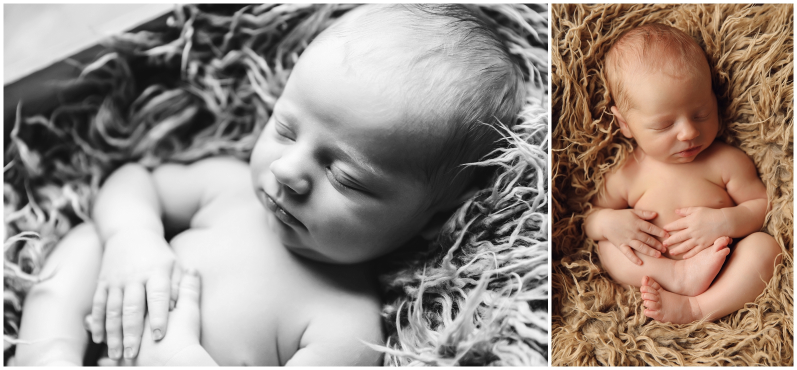 omaha newborn photographer