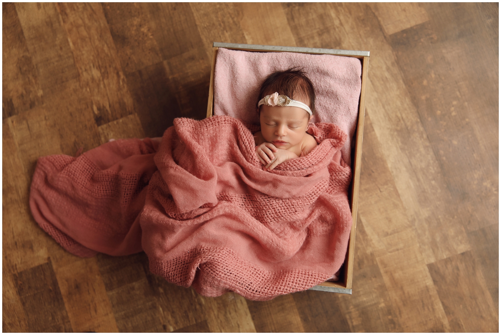 omaha newborn photographer