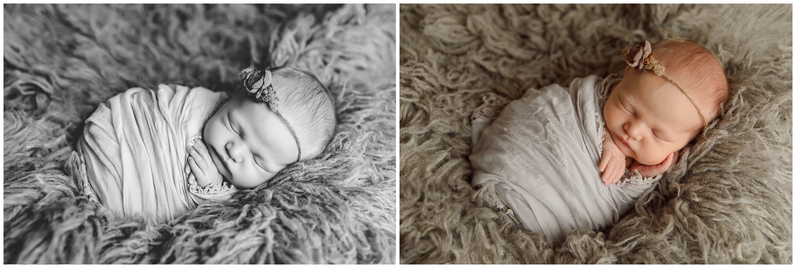 omaha newborn photographer