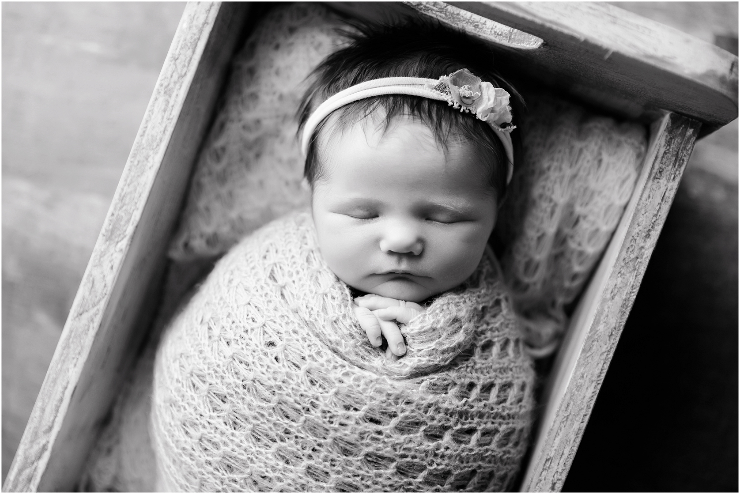 best of omaha,omaha photographer,omaha newborn photographer,omaha newborn photography,stephanie reeves,stephanie reeves photography,newborn photography,omaha family photographer,