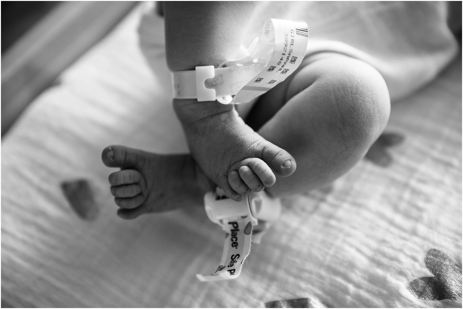 best of omaha,omaha photographer,omaha newborn photographer,omaha newborn photography,stephanie reeves,stephanie reeves photography,newborn photography,omaha family photographer,