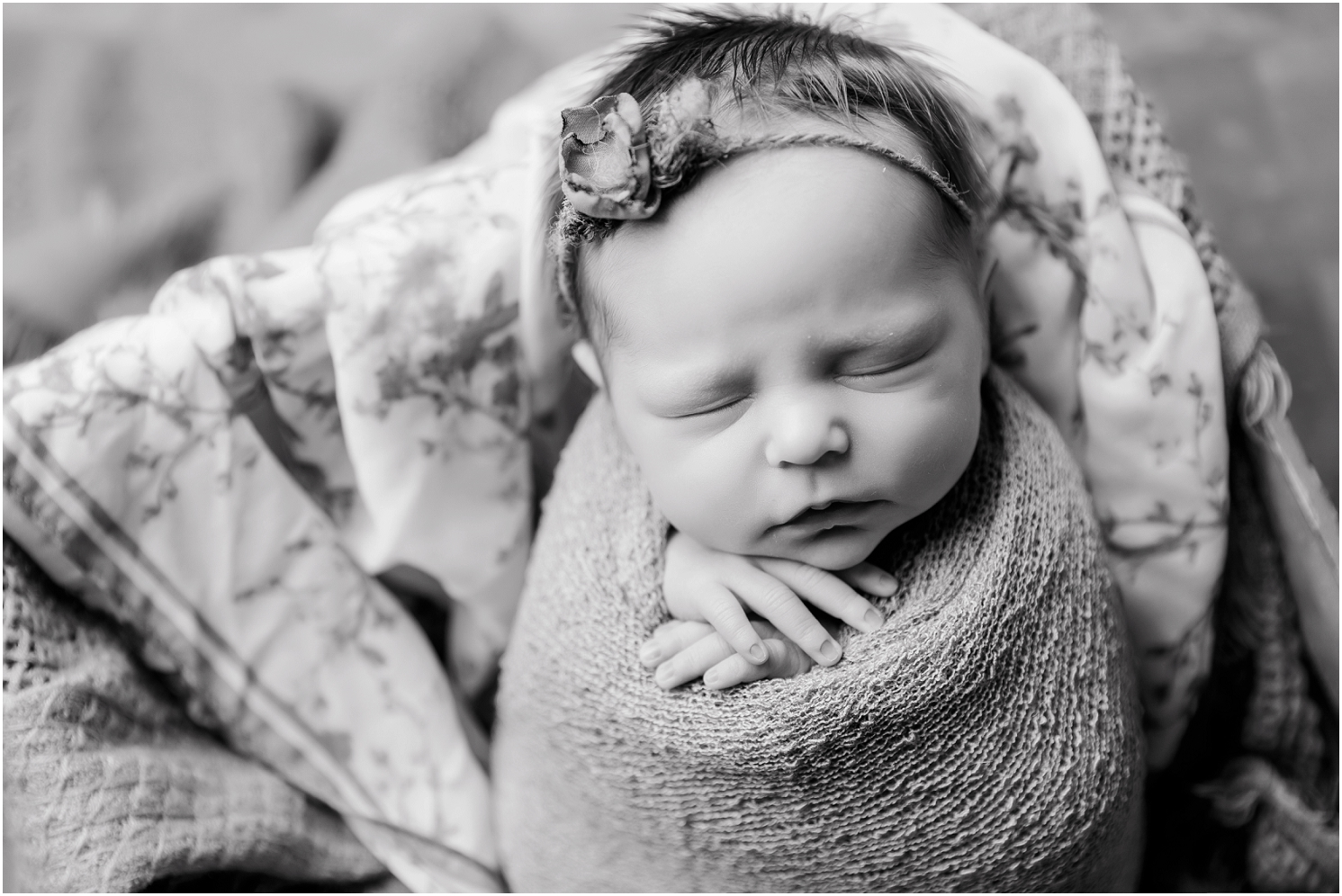 best of omaha,omaha photographer,omaha newborn photographer,omaha newborn photography,stephanie reeves,stephanie reeves photography,newborn photography,omaha family photographer,