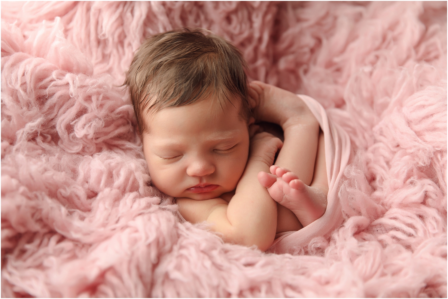 best of omaha,omaha photographer,omaha newborn photographer,omaha newborn photography,stephanie reeves,stephanie reeves photography,newborn photography,omaha family photographer,