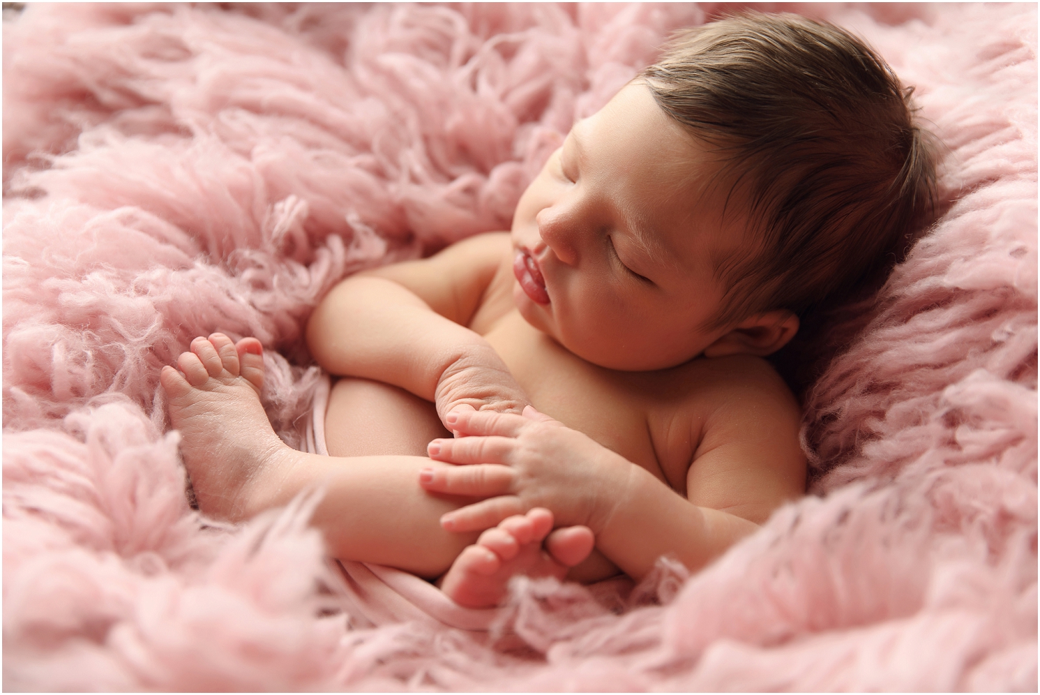 best of omaha,omaha photographer,omaha newborn photographer,omaha newborn photography,stephanie reeves,stephanie reeves photography,newborn photography,omaha family photographer,